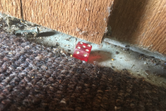 We found a die under the paneling.