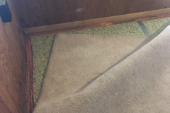 Guest room loses its carpet