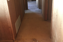 Hallway is carpet free!