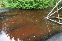 The large satellite dish. The base stands in water.